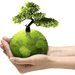 Smart Ecologic Consulting autorizatii mediu